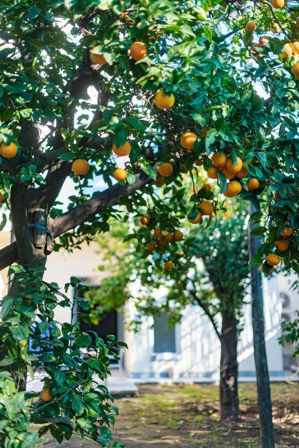 فندق Pane E Marmellata سانتّانييلّو المظهر الخارجي الصورة