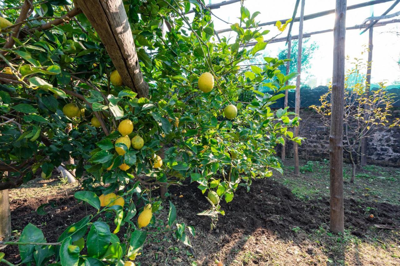 فندق Pane E Marmellata سانتّانييلّو المظهر الخارجي الصورة